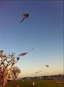Kite Flying at Dusk: by spartanx, Views[308]