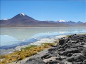 At an elevation of 4350 m, the Laguna Blanca is not far from the Chilean border and represent the first sight different from desert. The characteristic white colour of the water is caused by the high amount of minerals: that makes life really difficult in this lake and in a lot of others around the Bolivian Andes. Fishes can not live here, around it there are just sand, stones and short grass, in this way there is not space for animals, birds and humans, that can't work in such an environment.: by spiedix84, Views[515]