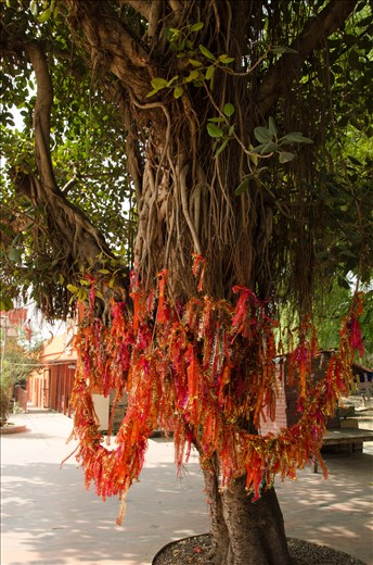 Many dreams enclosed in MATA KI CHUNRI flutter in the light breeze