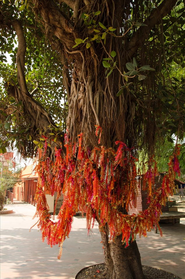 Many dreams enclosed in MATA KI CHUNRI flutter in the light breeze