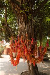 Many dreams enclosed in MATA KI CHUNRI flutter in the light breeze: by spiritual, Views[454]