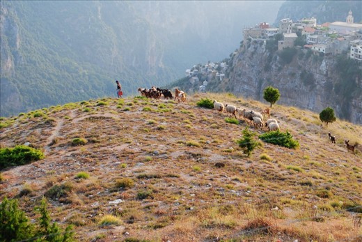 The Shepherd of Hadchit - Lebanon... mums village.
This shot includes the village atop a cliff face & the site where my grandparents are buried - RIP