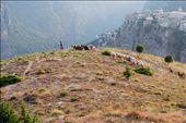 The Shepherd of Hadchit - Lebanon... mums village.
This shot includes the village atop a cliff face & the site where my grandparents are buried - RIP: by spk, Views[2545]