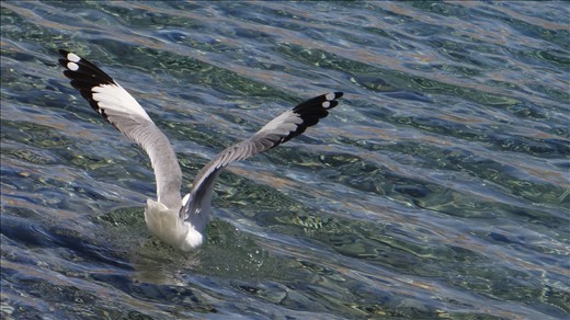 lets do something crazy 