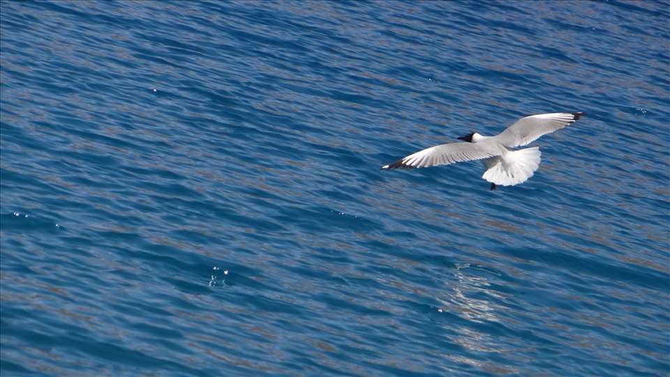 Sky is not the limit