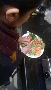 by spreet1, Views[291]