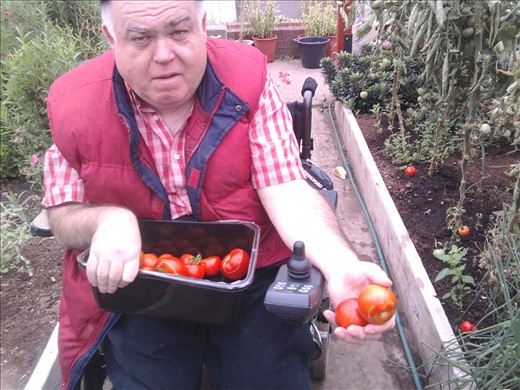 My Irish Tomato supplier Stephen Conlon