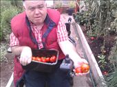 My Irish Tomato supplier Stephen Conlon: by squiffy, Views[645]