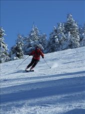 by srbpi, Views[264]