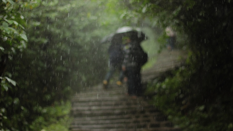 And miles we go to walk a journey within