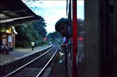 What might be his mind wondering about? maybe he thinks: If i could travel on the foot board again like i used to travel when i was young. Maybe he is enjoying the wind blowing in his face. The mystery lies within him.: by srilankan, Views[2300]