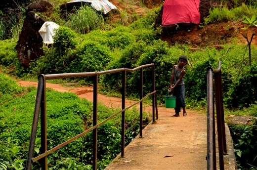 I wonder whether the boy attends school. In a remote area in Srilanka, small boys like him do not have the money even to buy footwear. They help their parents by carrying buckets of water to fill up their water barrels (yeah barrels, not tanks) from nearby streams, cleaning the house, running on small errands, etc.