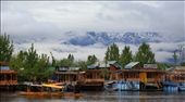 Kashmir ... the land of conflict. But the other side has very beautiful natural resources are hidden. One of them is the Dal Lake, a large freshwater lake in the center of the capital in Srinagar city. Many boat houses are opened for tourist. : by srinagar_kashmir, Views[1601]