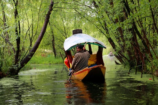 Most popular activities that tourists cannot miss are cruise sightseeing along the lake to see the traditional lifestyle.
