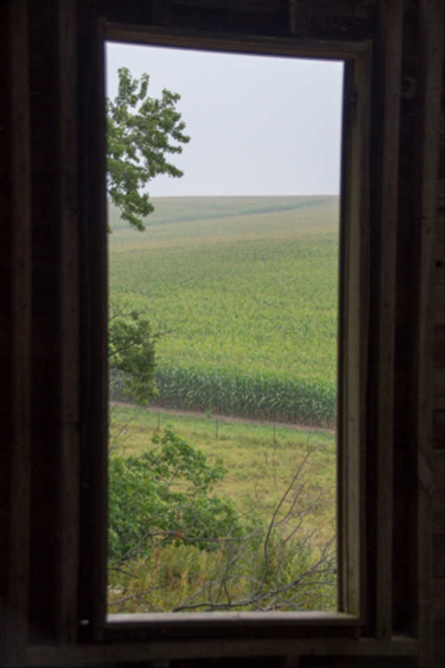 Windows to the present