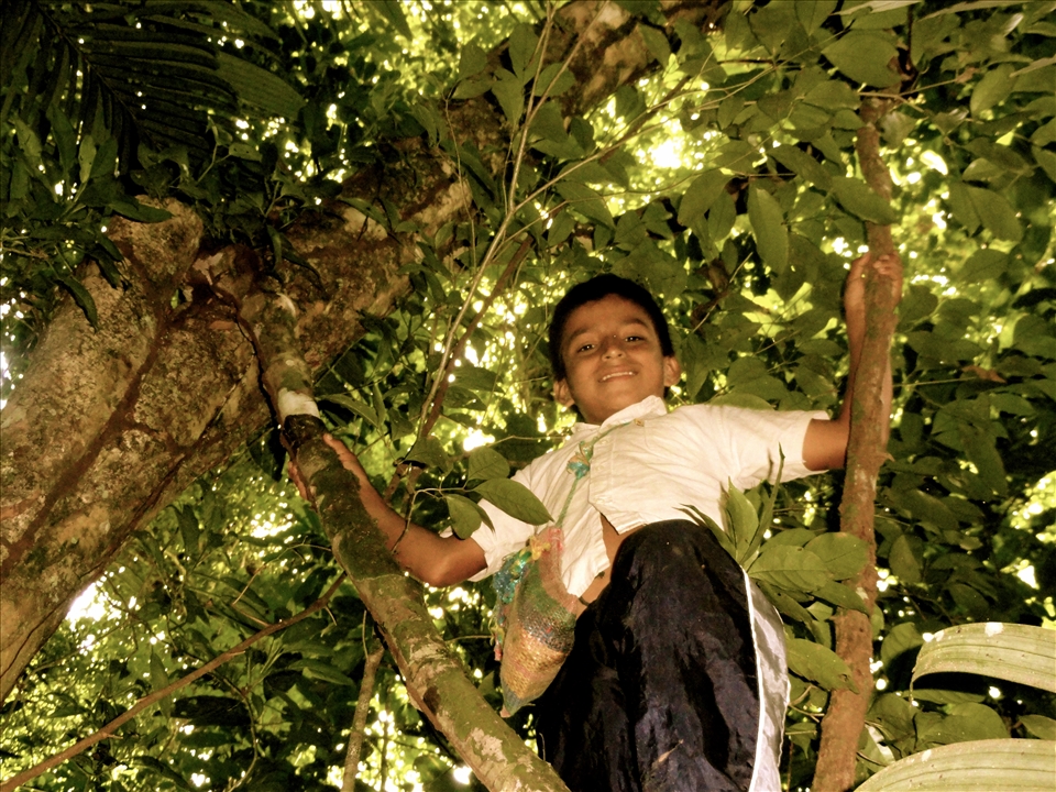 A boy climbs to the top of a tree outside him home in Xela, Guatemala.