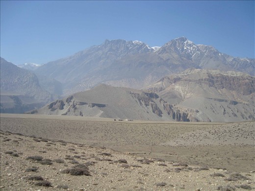 Apple plantation Near Tangwe village - 3500 meters hight, local people have plan