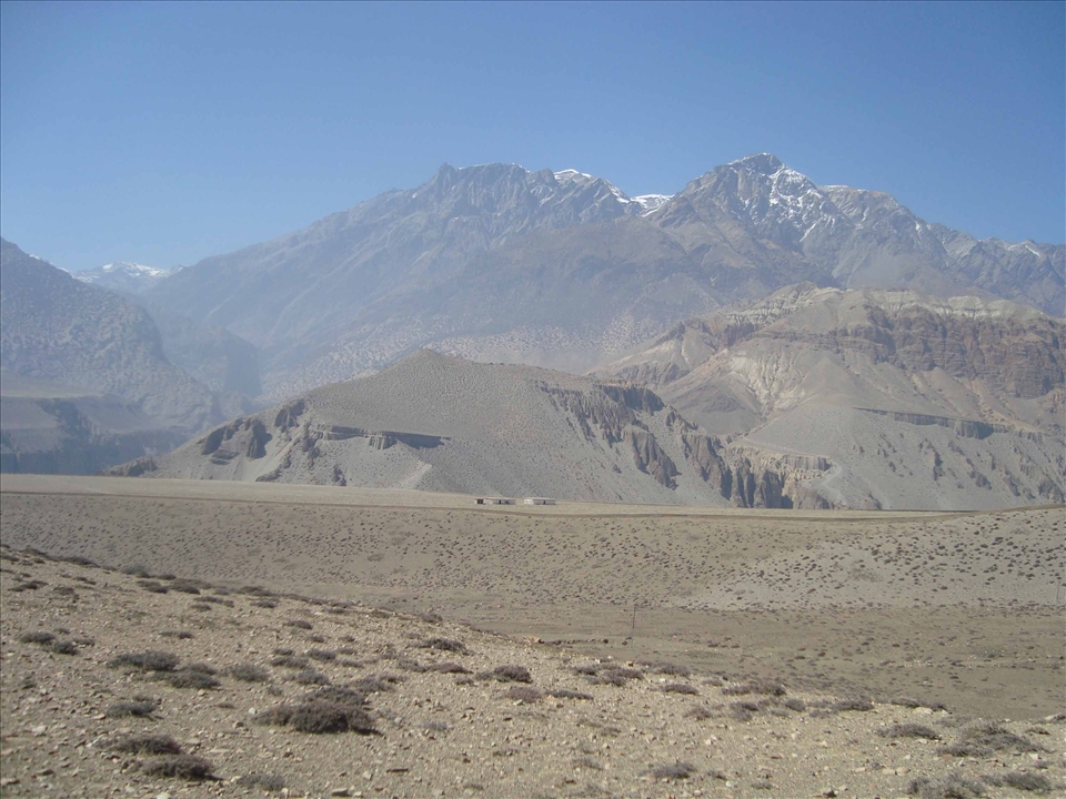 Apple plantation Near Tangwe village - 3500 meters hight, local people have plan