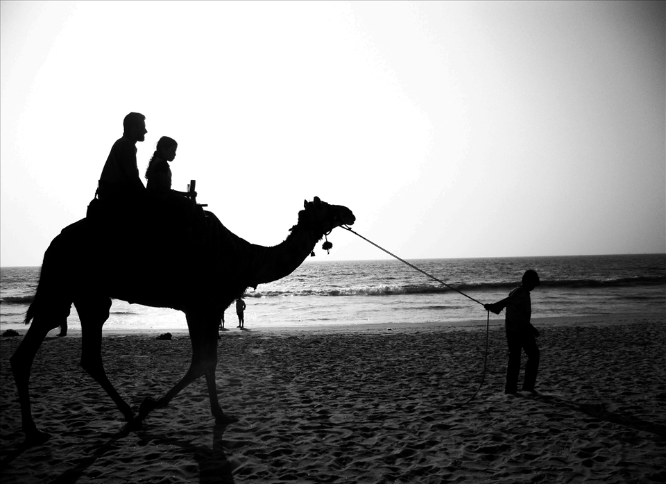 A kid leading the camel on a beach ferrying a tourists