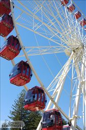 Fremantle Ferris Wheel: by stankei, Views[716]