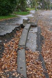 Other roads and residential areas have also been affected by the quake, so many beautiful houses that had to be left behind. The boardwalk on this street resembles a rollercoaster more than the street it was once before. The autumn leaves add to the sadness of this area. : by starsandstripes97, Views[723]