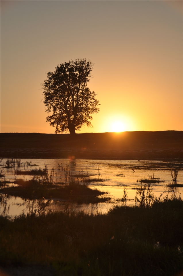 a little bit of freedom