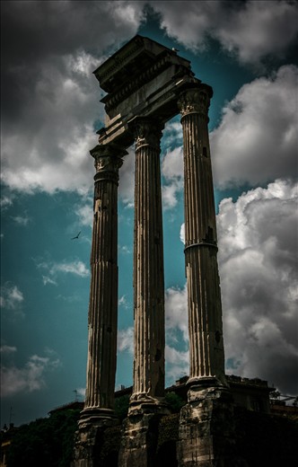 The photo has been shot during my Rome trip in the ancient city. The columns are rising with all their history to the bright sky and the free bird accompany to them.