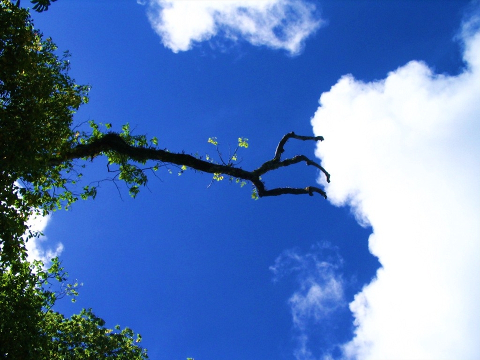 Holding back a cloud