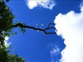 Holding back a cloud: by stefan, Views[311]