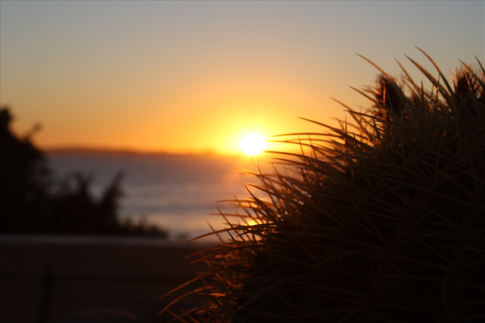Sunset at the beach on the way home with some coffee.
