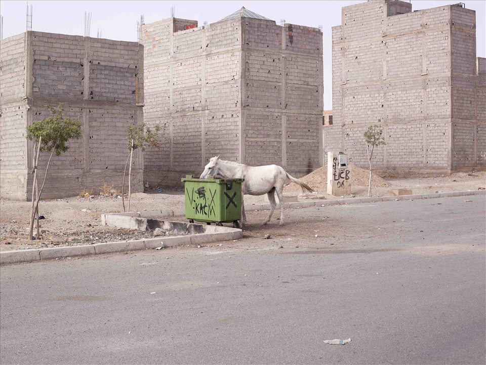 these new cities will be linked to the concept of 