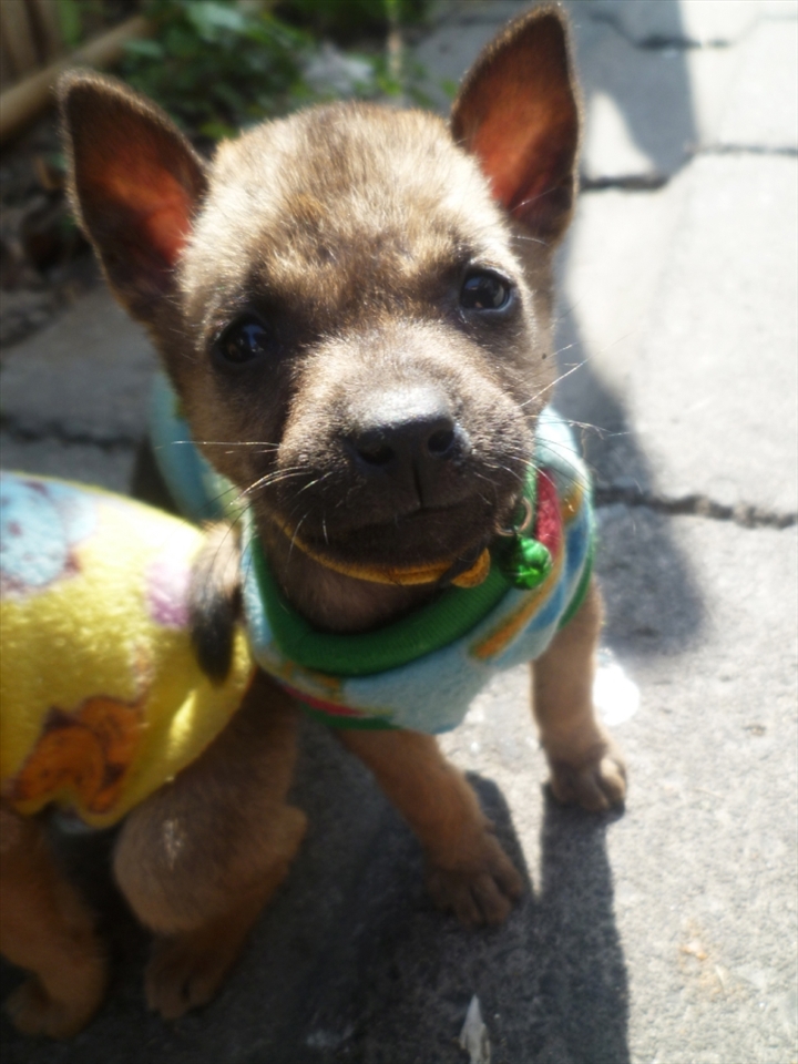 Chiang Mai, Thailand.