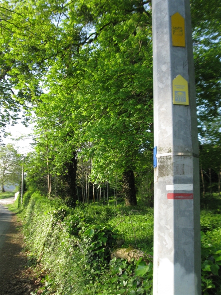 Leaving France for Spain, the Camino de Santiago is frequently marked by blue and yellow markings affixed to fence posts, light poles, rocks and trees along the way.  If pilgrims go too far without seeing any of these icons, then some backtracking might be involved.  During this stage of the pilgrimage, red and white markings are seen as well, just so travelers never forget they are in Basque country.