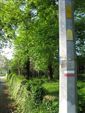 Leaving France for Spain, the Camino de Santiago is frequently marked by blue and yellow markings affixed to fence posts, light poles, rocks and trees along the way.  If pilgrims go too far without seeing any of these icons, then some backtracking might be involved.  During this stage of the pilgrimage, red and white markings are seen as well, just so travelers never forget they are in Basque country.: by stejomi, Views[625]