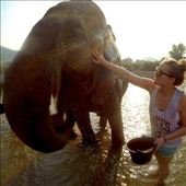 Bathing at the Elephant Nature Park in Northern Thailand: by stellablue, Views[141]