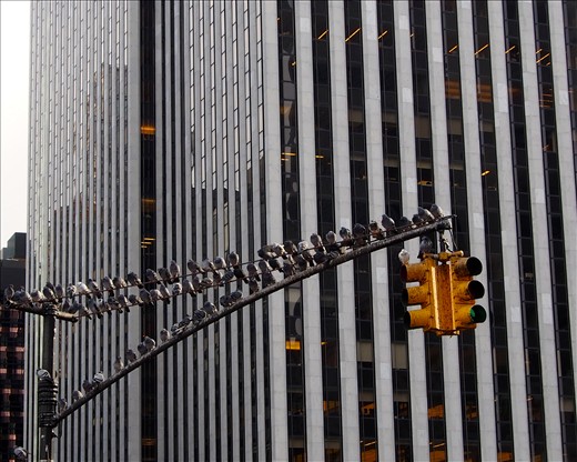 Overpopulated: Prime Real-Estate is hard to come by in Manhattan.