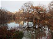 Central Park: This part of the Park was like a fairytale land.: by stellathought, Views[696]
