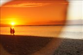 Through the view of my vintage aviators, the elderly couple takes a stroll along the endless shoreline hand-in-hand, chasing the sun.: by stephaniechaunte, Views[302]