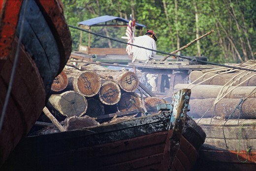 Further down the river from the National Park the rainforest is seen as money!
