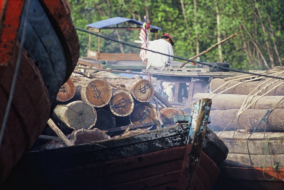 Further down the river from the National Park the rainforest is seen as money!