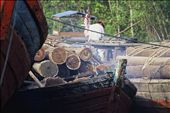 Further down the river from the National Park the rainforest is seen as money!: by stephenbradley, Views[541]