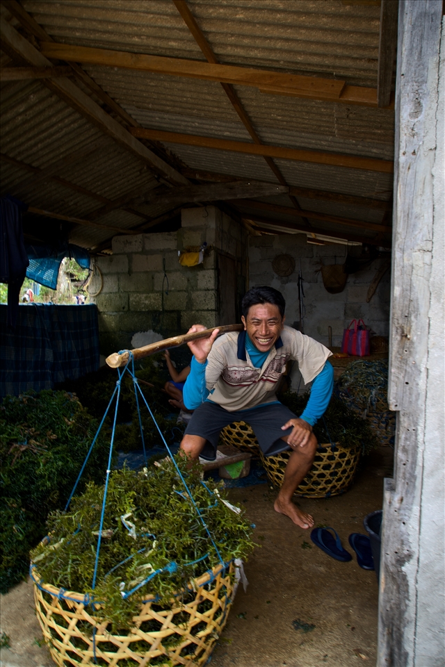 This man is taking ropes of seaweed back to the sea to be replanted and allowed to grow more. His wife sits in their little shed sorting the seaweed and retying the ropes. Despite their poverty the people were very happy and were proud of how their children had gone to schools on mainland Bali and made a life for themselves off the island. 