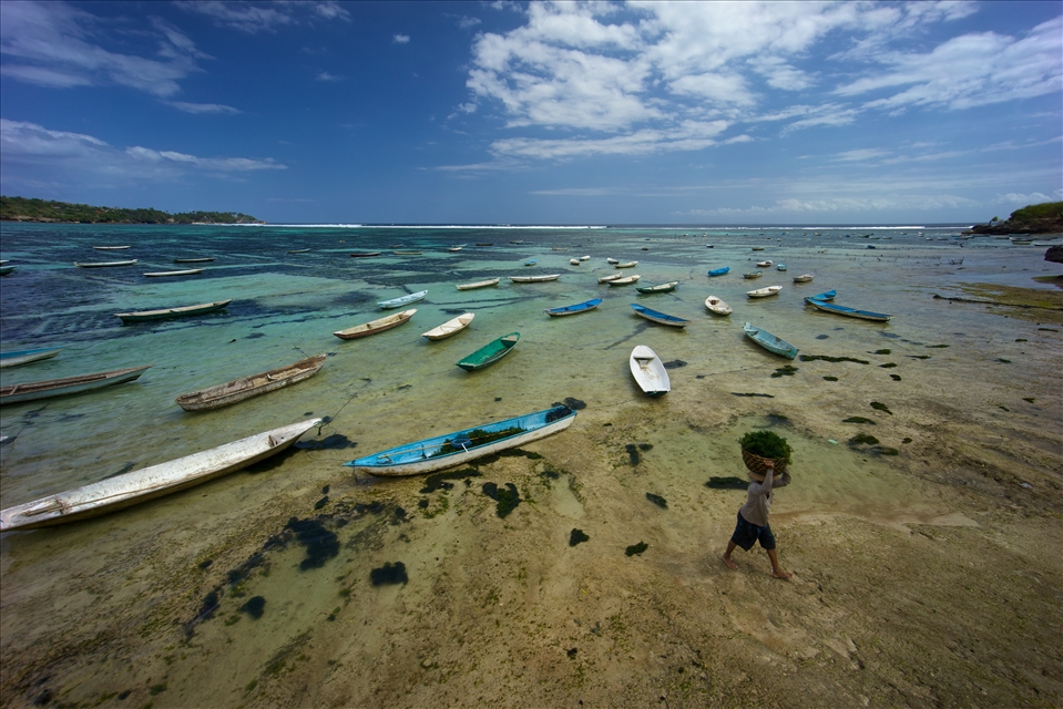 A woman carries seaweed from the main farming area on Nusa Lembongan.The seaweed is farmed to be sold to huge wealthy cosmetic companies, yet the farmers are very poor and live in basic shelters. Only two kilometers away on the other side of the island thousands of tourists sun themselves in fancy resorts. They are possibly using the expensive products the seaweed is farmed for, oblivious to were it comes from.