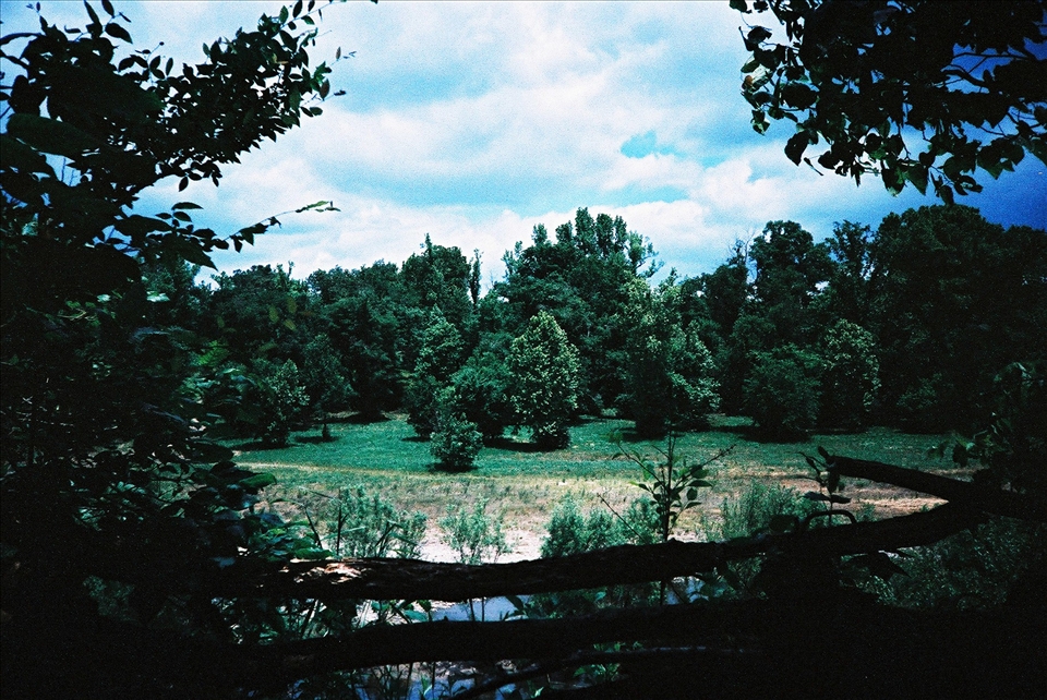 And this is the view from Karmen's granny home. 