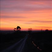 by stephleighton, Views[250]