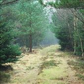 by stephleighton, Views[226]