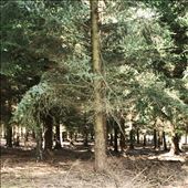 by stephleighton, Views[190]