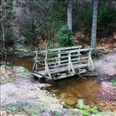 by stephleighton, Views[214]