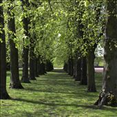 by stephleighton, Views[190]