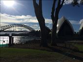 View of the Harbor from the Royal Botanic Gardens: by stephmonahan, Views[250]